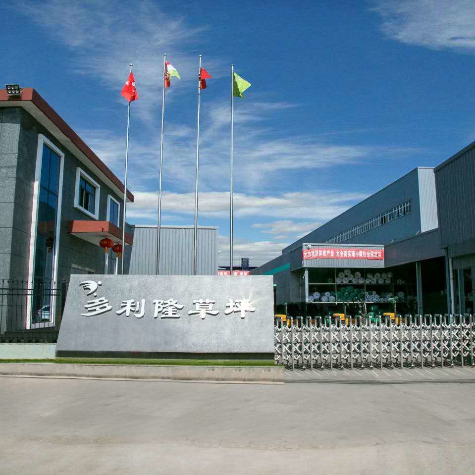 चीन Dorelom artificial grass group co,ltd.